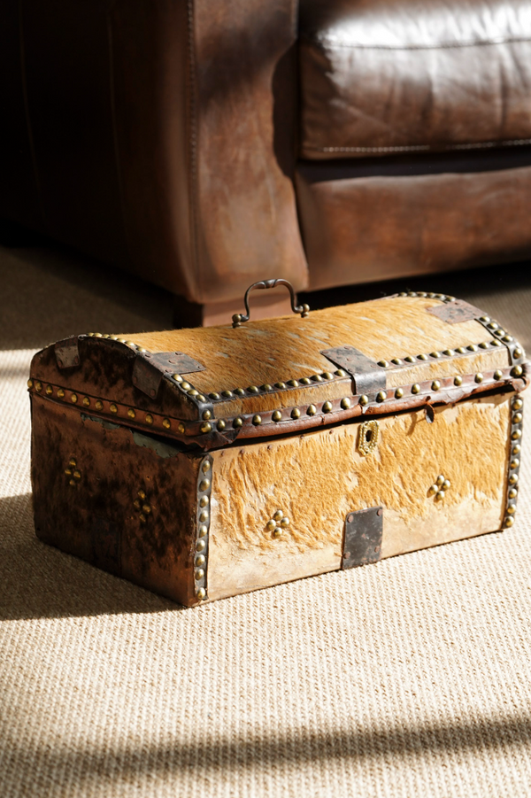 Antique English Hide Dome-Top Trunk, Barnard Castle