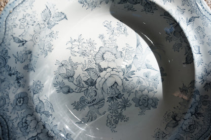Antique Asiatic Pheasant Soup Plate, Wedgwood & Co.