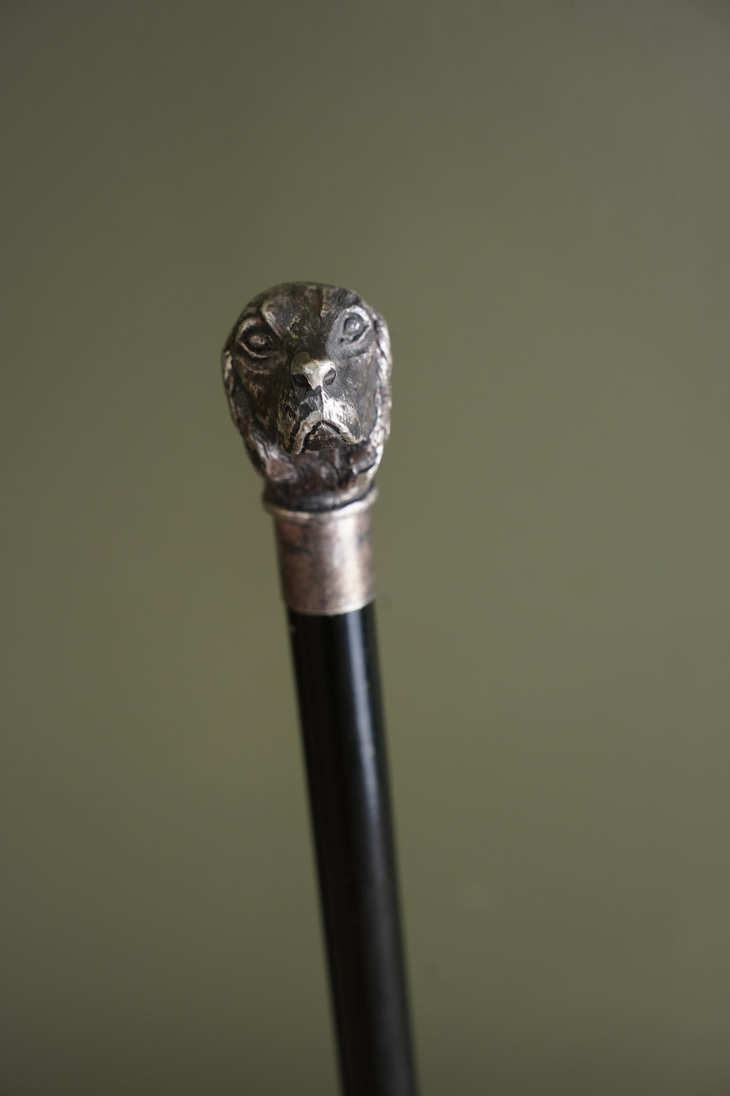 Antique Silver Dog Head Walking Cane, Setter, Circa 1900