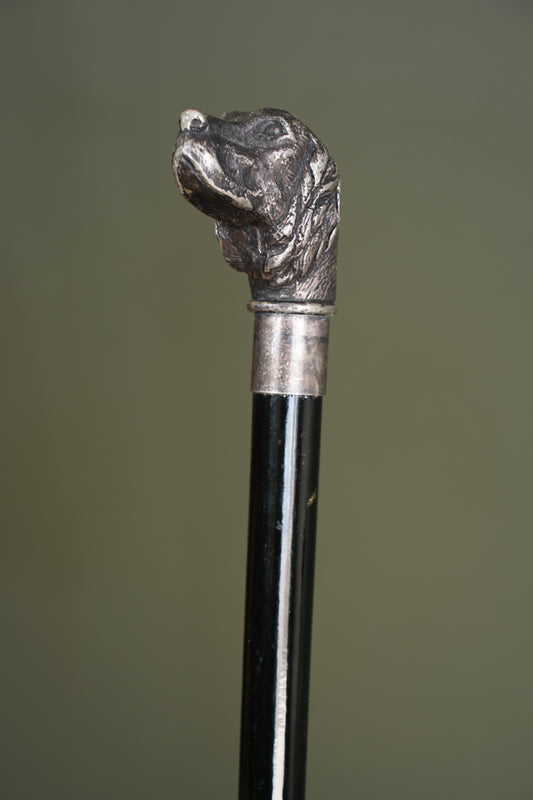 Antique Silver Dog Head Walking Cane, Setter, Circa 1900