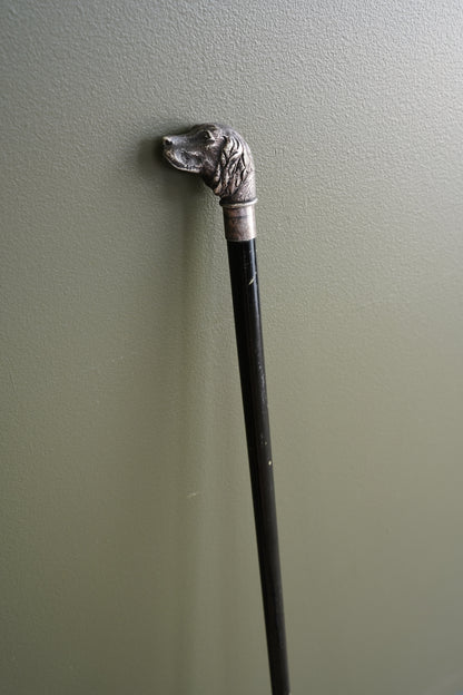 Antique Silver Dog Head Walking Cane, Setter, Circa 1900