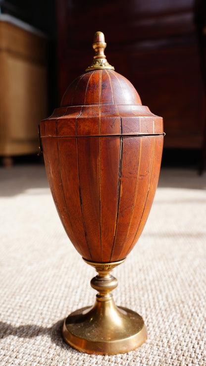 Antique English Banded Wood Trinket Box