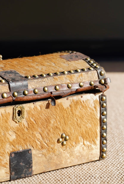 Antique English Hide Dome-Top Trunk, Barnard Castle