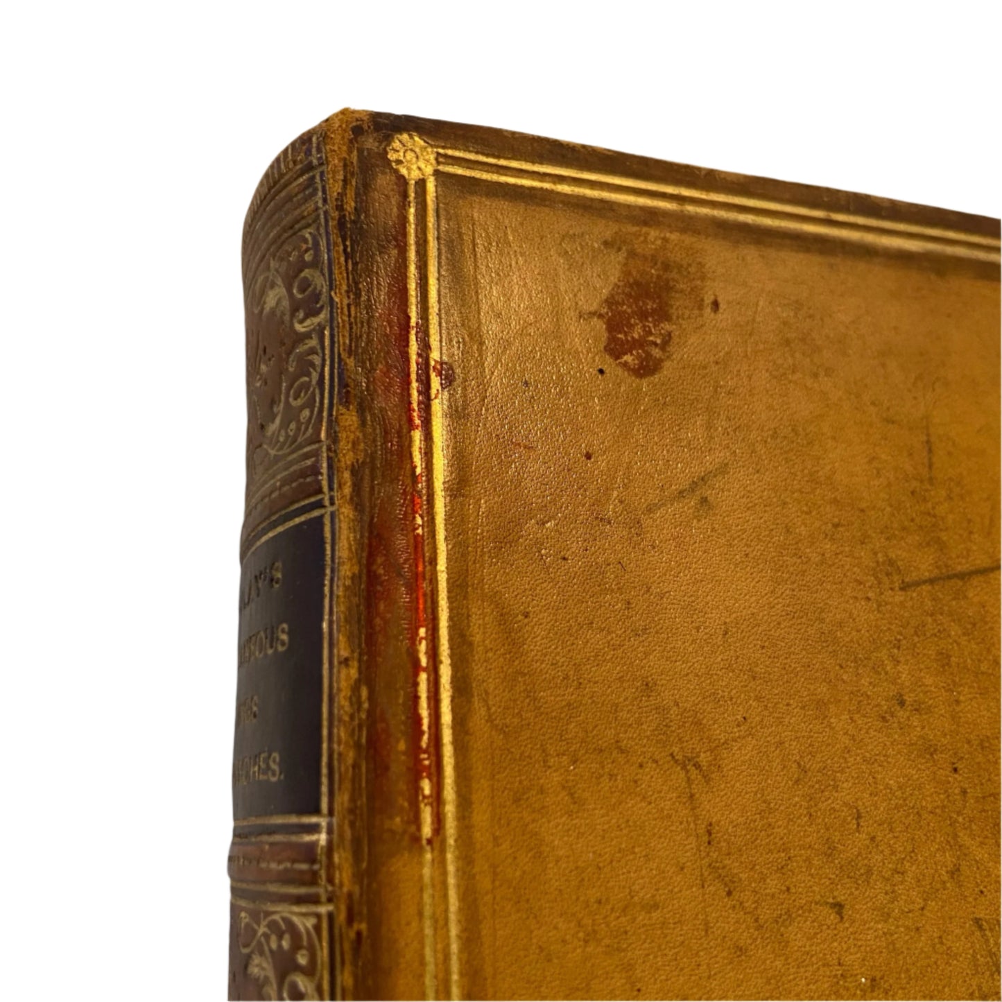 1889 "The Miscellaneous Writings and Speeches of Lord Macaulay" Full Caramel Brown Leather Book