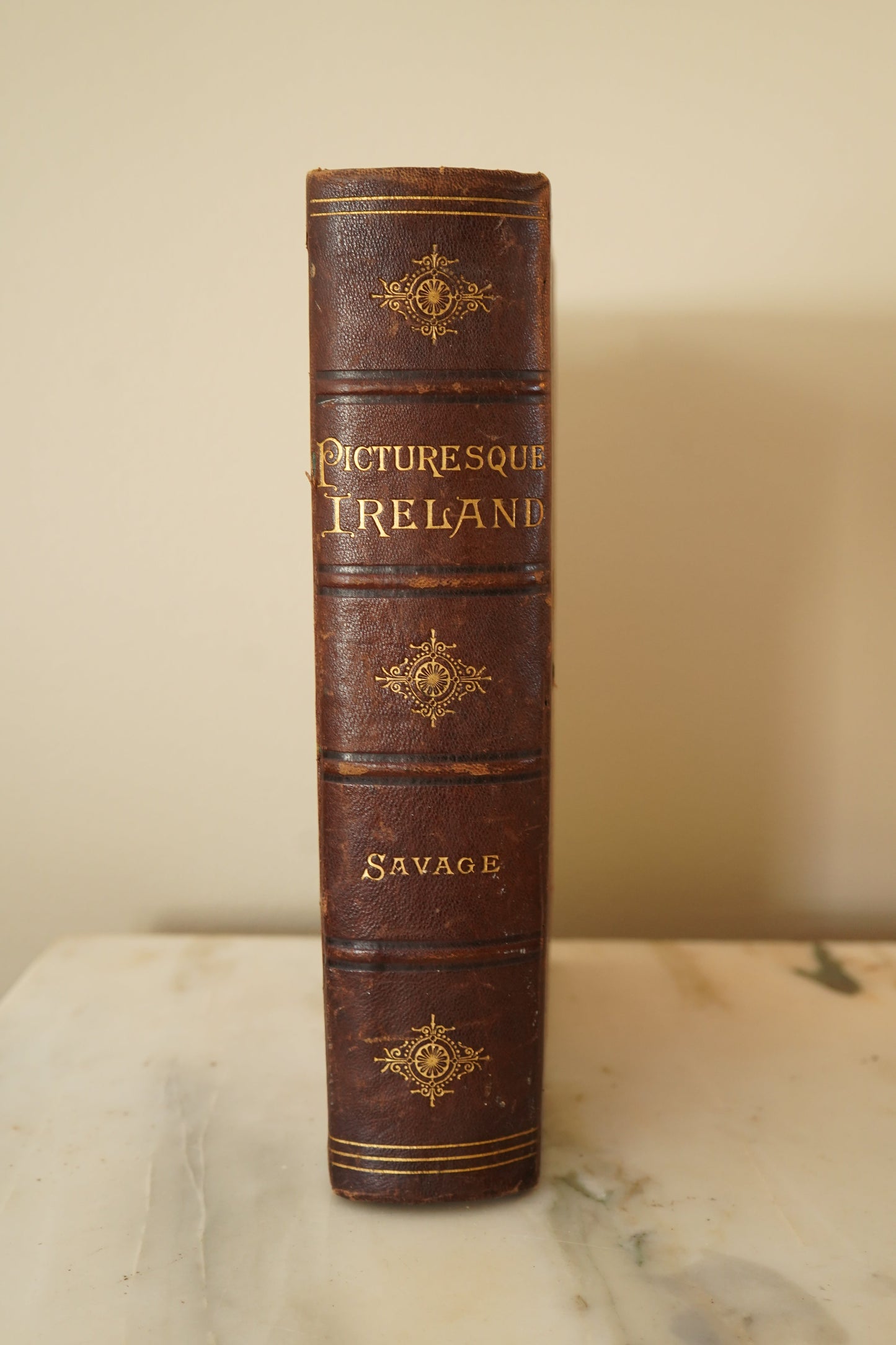 1884 Picturesque Ireland by John Savage | Illustrated Victorian Leather-Bound Book