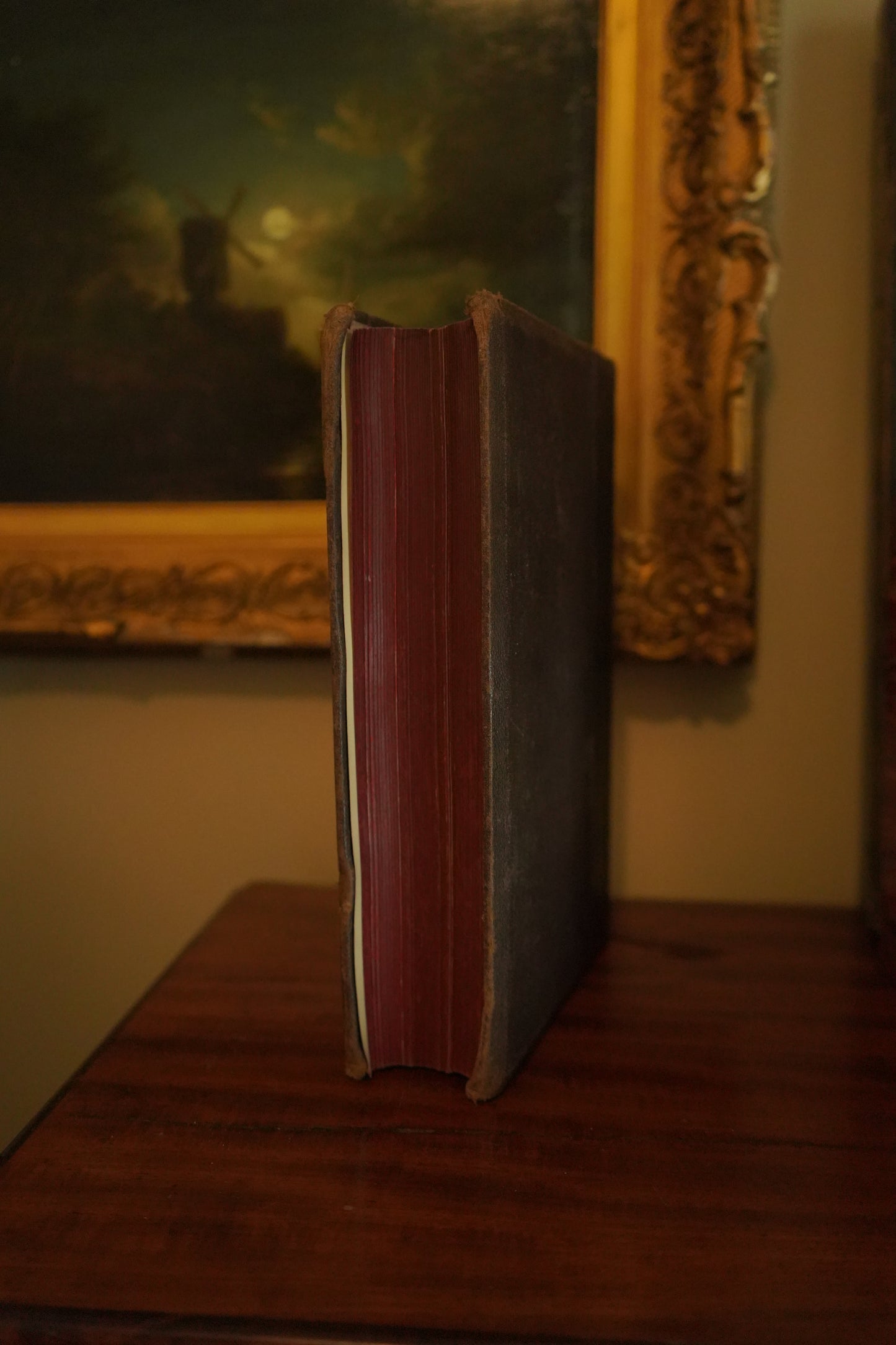 1881 Homeopathic Veterinary Medicine Book for Horses and Livestock – Illustrated Antique Animal Care Manual