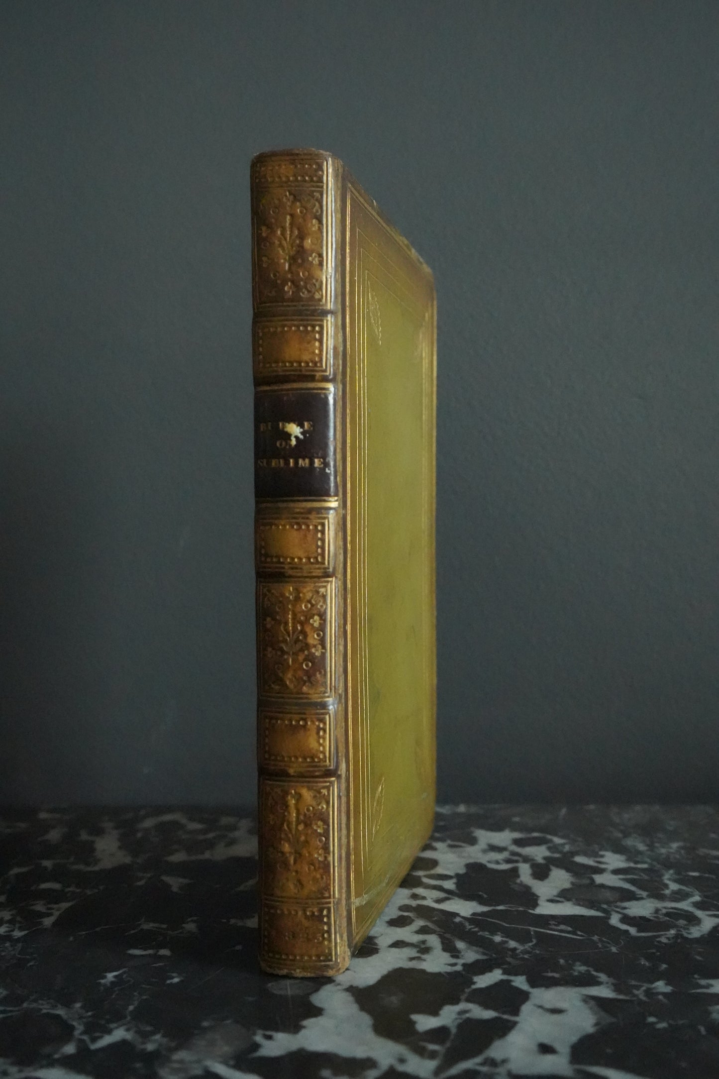 1825 Burke On the Sublime and Beautiful by Edmund Burke – Philosophy Book in Fine Gilt Leather Binding