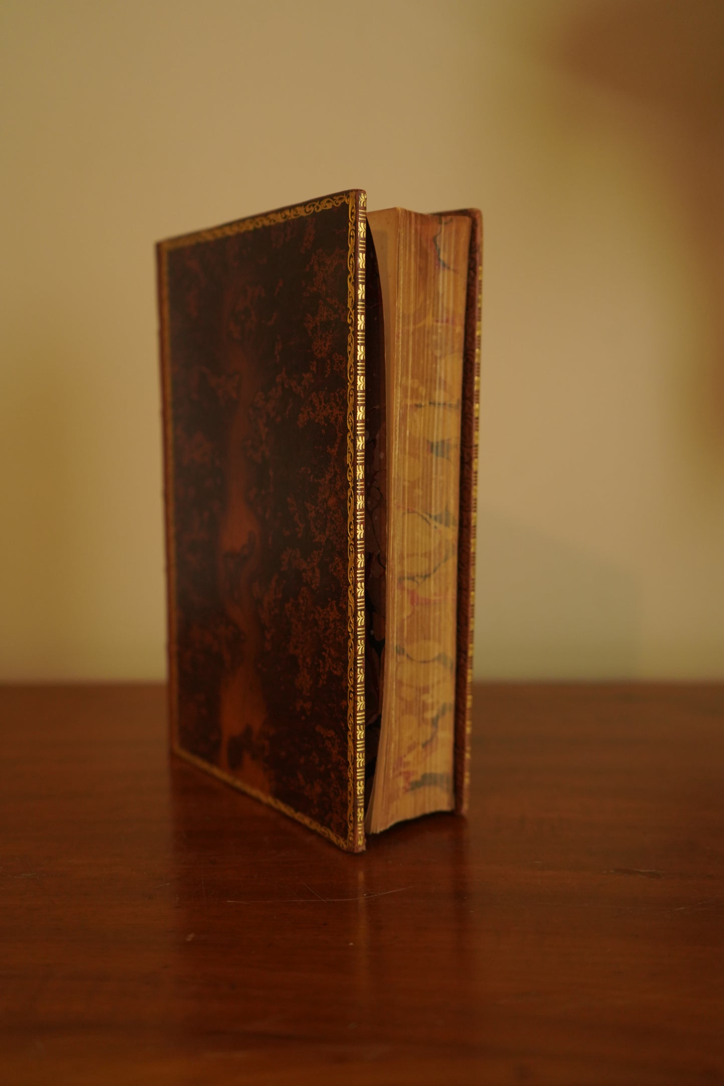 Hereward the Wake by Charles Kingsley, 1912 Historical Novel in Fine Tree Calf Binding with Illustrations