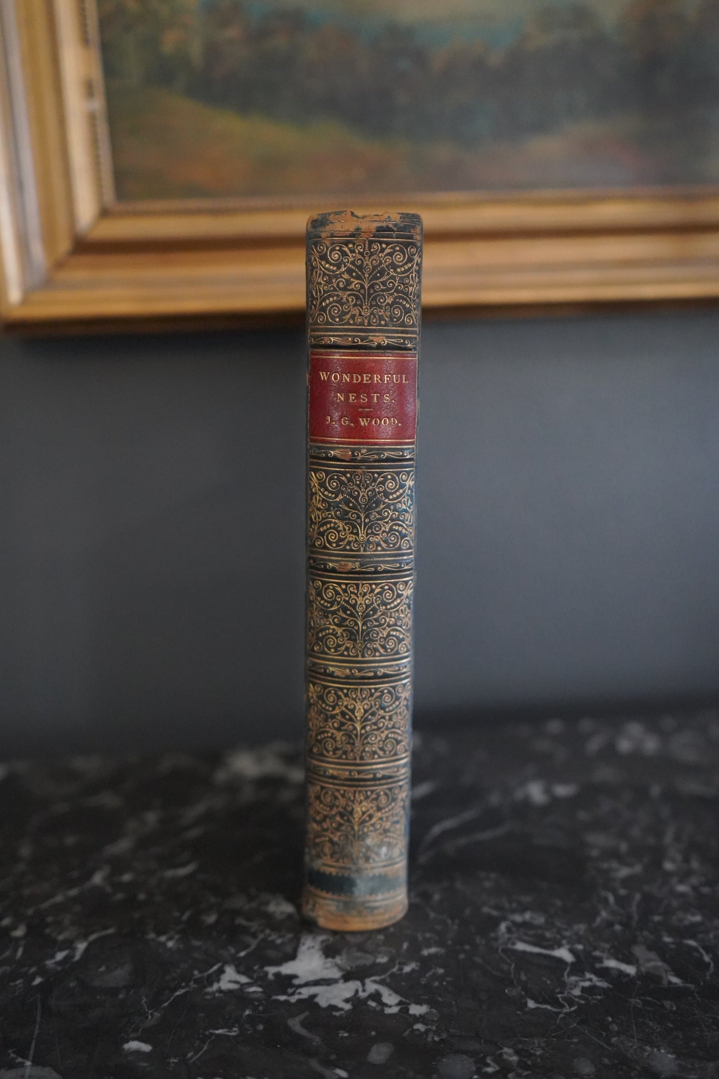 1892 Nature "Wonderful Nests" Blue Full Leather Prize Binding Book, Antique Bird Book