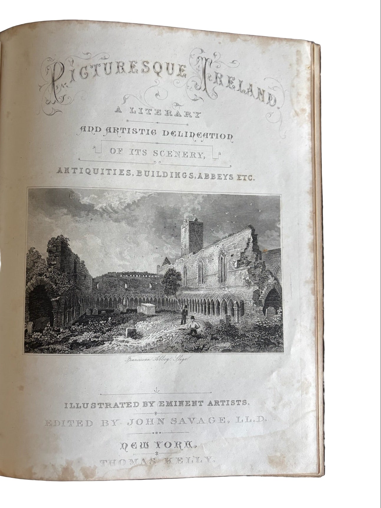 1884 Picturesque Ireland by John Savage | Illustrated Victorian Leather-Bound Book