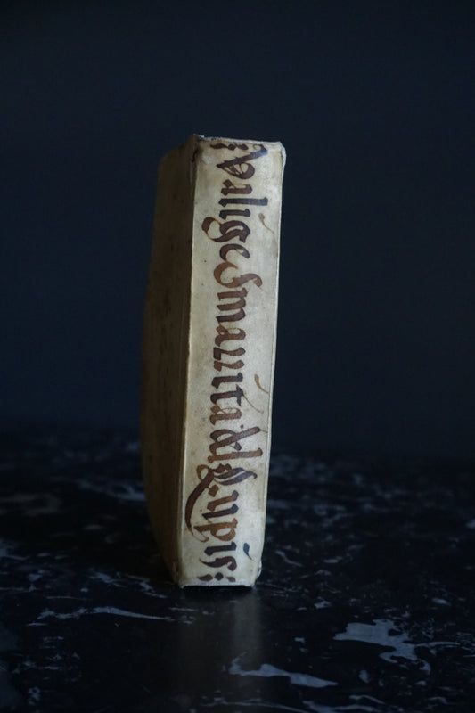 Miniature 1675 "La Valge Smarrita di antonio Lupis" Italian Vellum Book