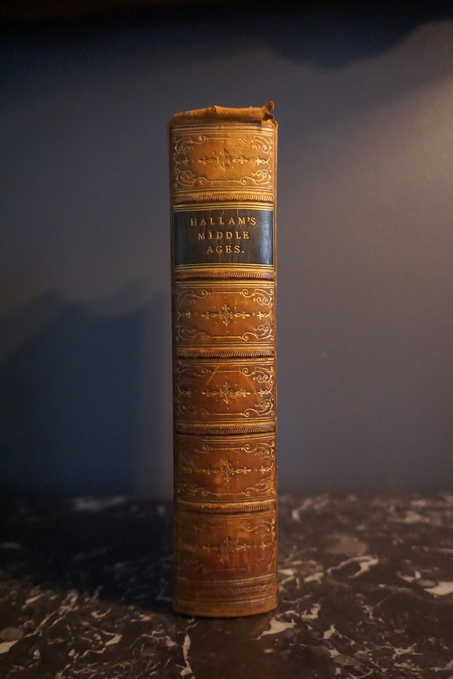 1869 "View of the State of Europe During the Middle Ages" Full Brown Leather Book