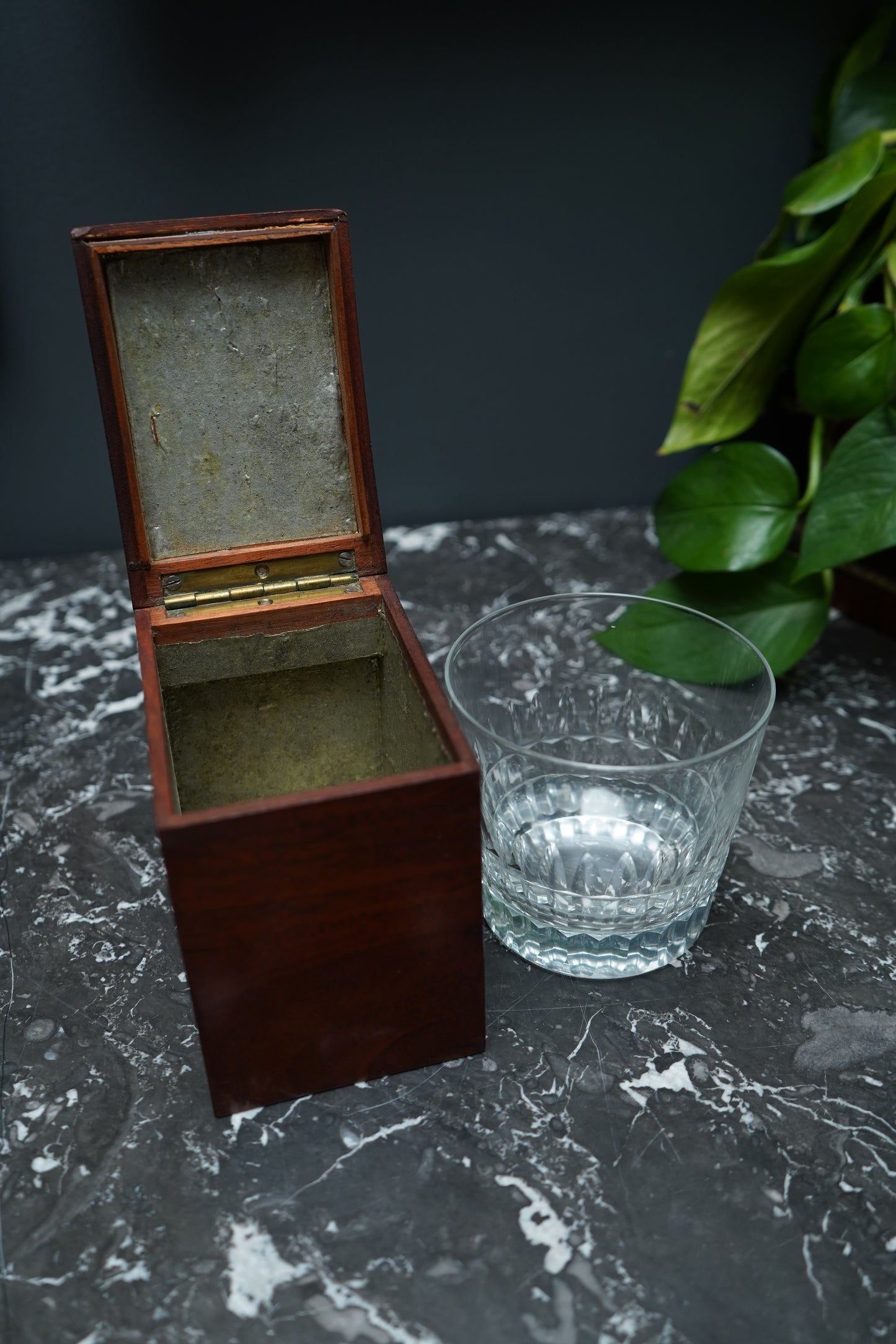 Antique Georgian Rosewood Domed Tea Caddy with Brass Mounts, Circa 1820-1830
