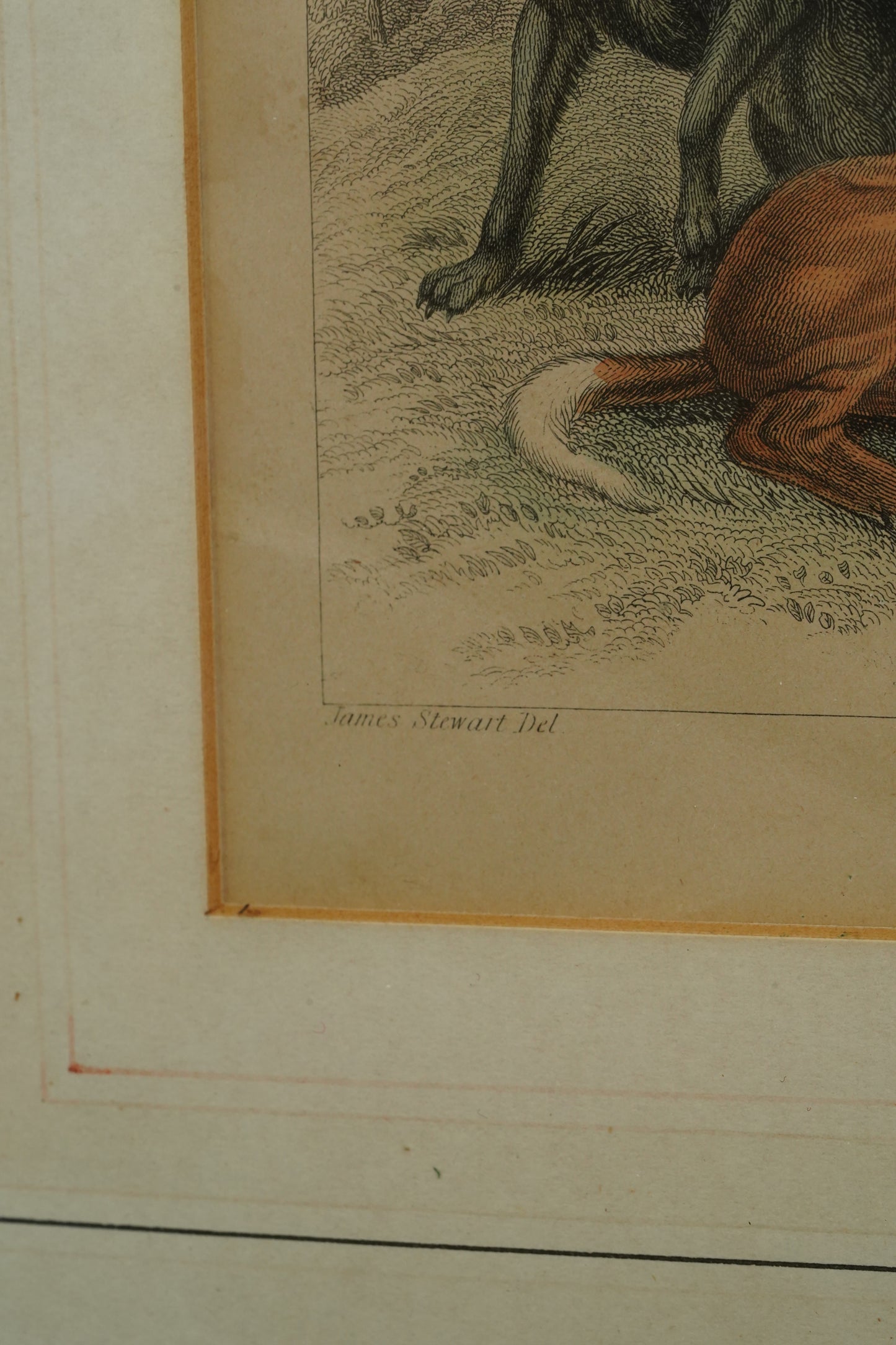 Antique Blackie & Son Hand-Colored Engraving, Wolves and Dogs