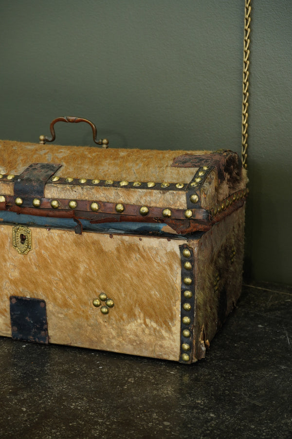 Antique English Haircalf Dome Top Trunk by I.K. Powell of Barnard Castle, Circa 1830 secondary view