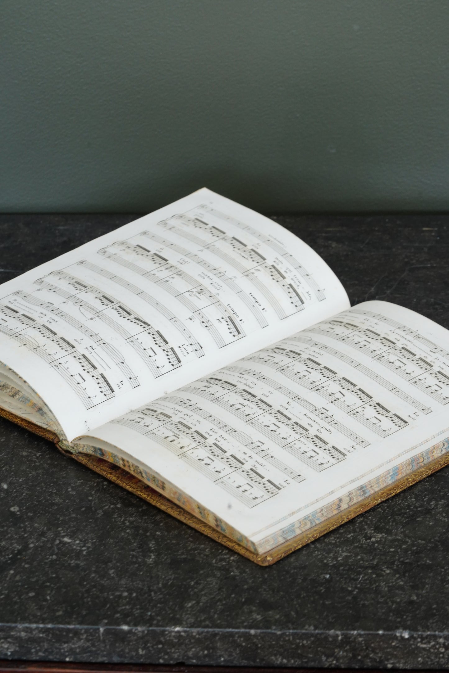 Antique Schubert 40 Melodies Leather Score Music Leather Book