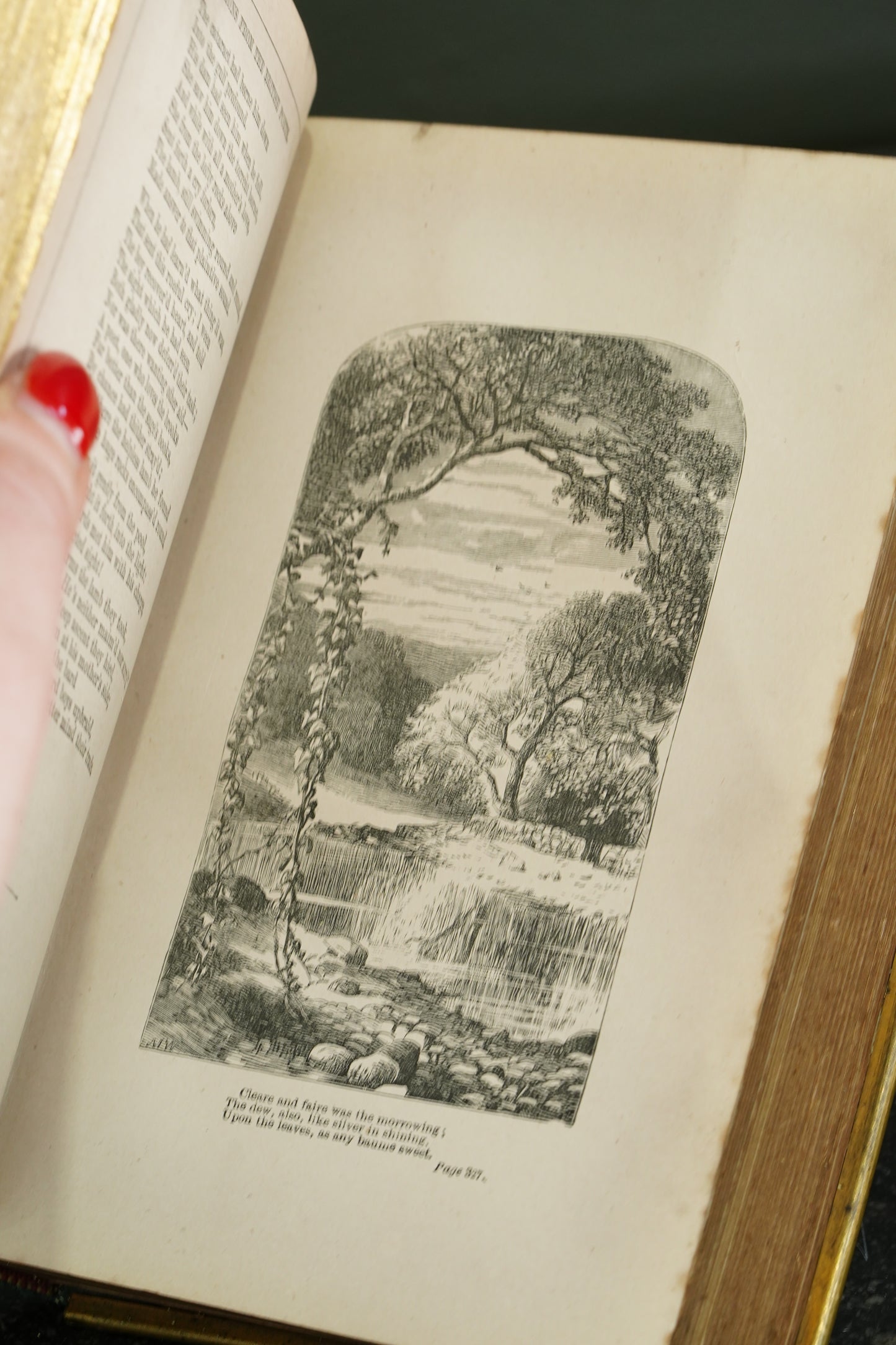 Casquet of Gems 1874 Antique Celluloid Poetry Book