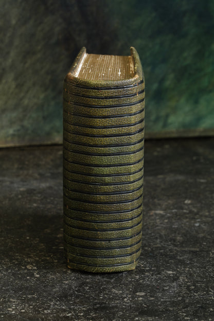 Antique Victorian Photograph Album, Green Morocco and Gilt Brass