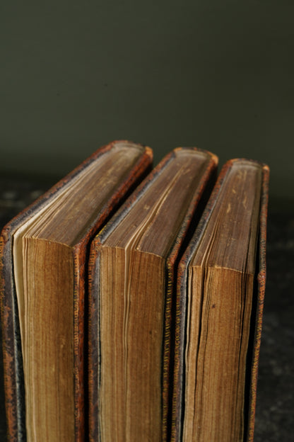 Antique Scottish Literary Essays Three Volumes Full Tree Calf 1809