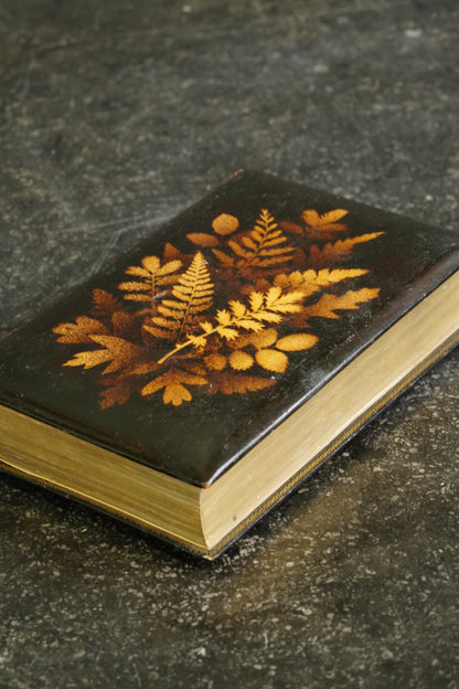 1871 Wordsworth Poetical Works Mauchline Binding Poetry Book