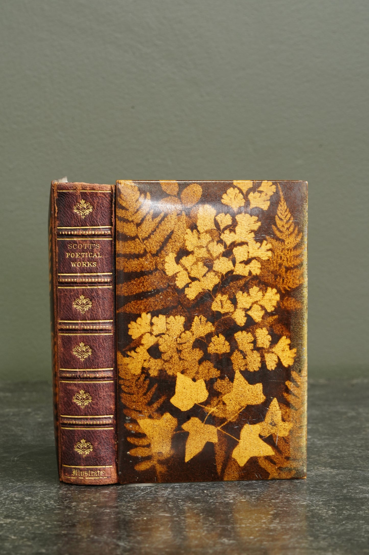Antique The Poetical Works of Sir Walter Scott Mauchline Binding Book