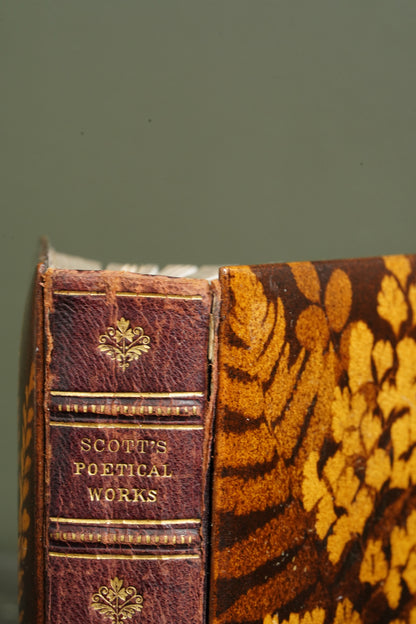 Antique The Poetical Works of Sir Walter Scott Mauchline Binding Book