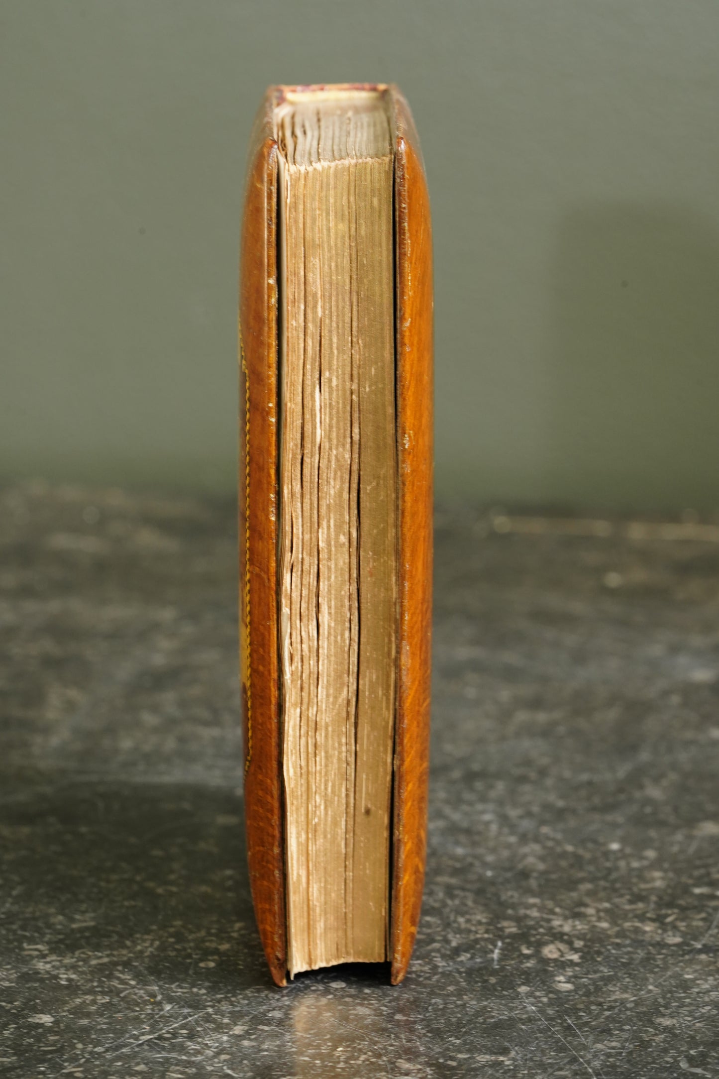 Antique Poetry The Lady of the Lake by Sir Walter Scott, Mauchline Binding Book