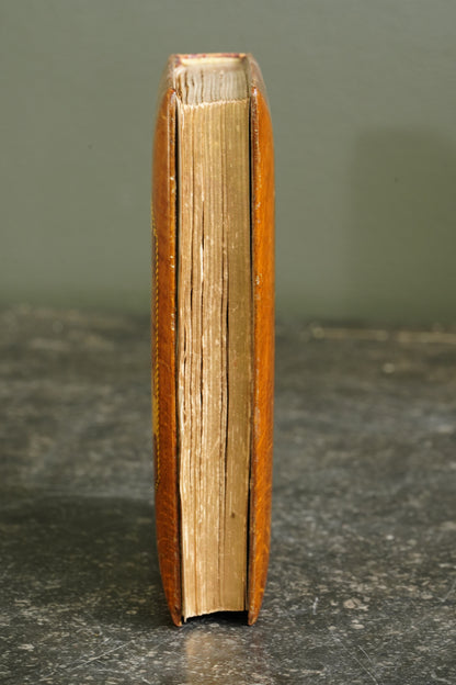 Antique Poetry The Lady of the Lake by Sir Walter Scott, Mauchline Binding Book