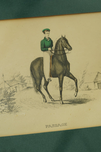 Set of Four - Antique English Equestrian Engravings, Hand-Coloured Horsemanship
