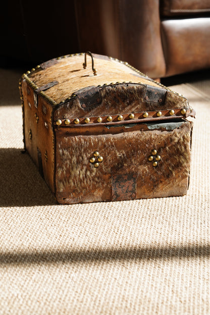 Antique English Hide Dome-Top Trunk, Barnard Castle