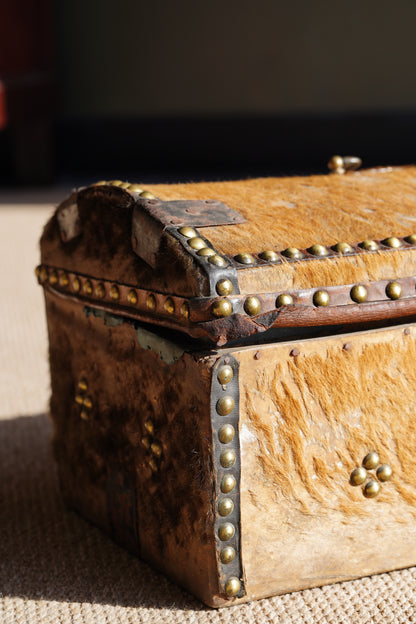 Antique English Hide Dome-Top Trunk, Barnard Castle