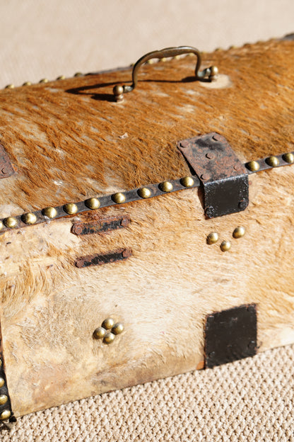 Antique English Hide Dome-Top Trunk, Barnard Castle
