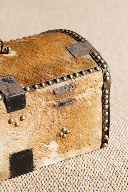Antique English Hide Dome-Top Trunk, Barnard Castle