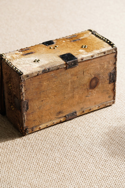Antique English Hide Dome-Top Trunk, Barnard Castle