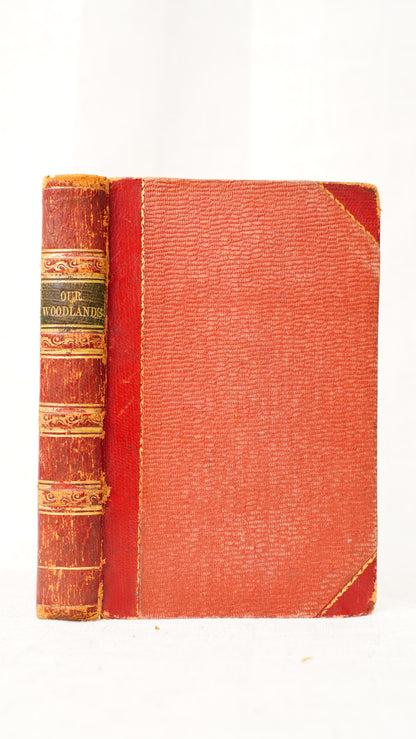 Antique Our Woodlands & British Butterflies W.S. Coleman Routledge 1859-1860