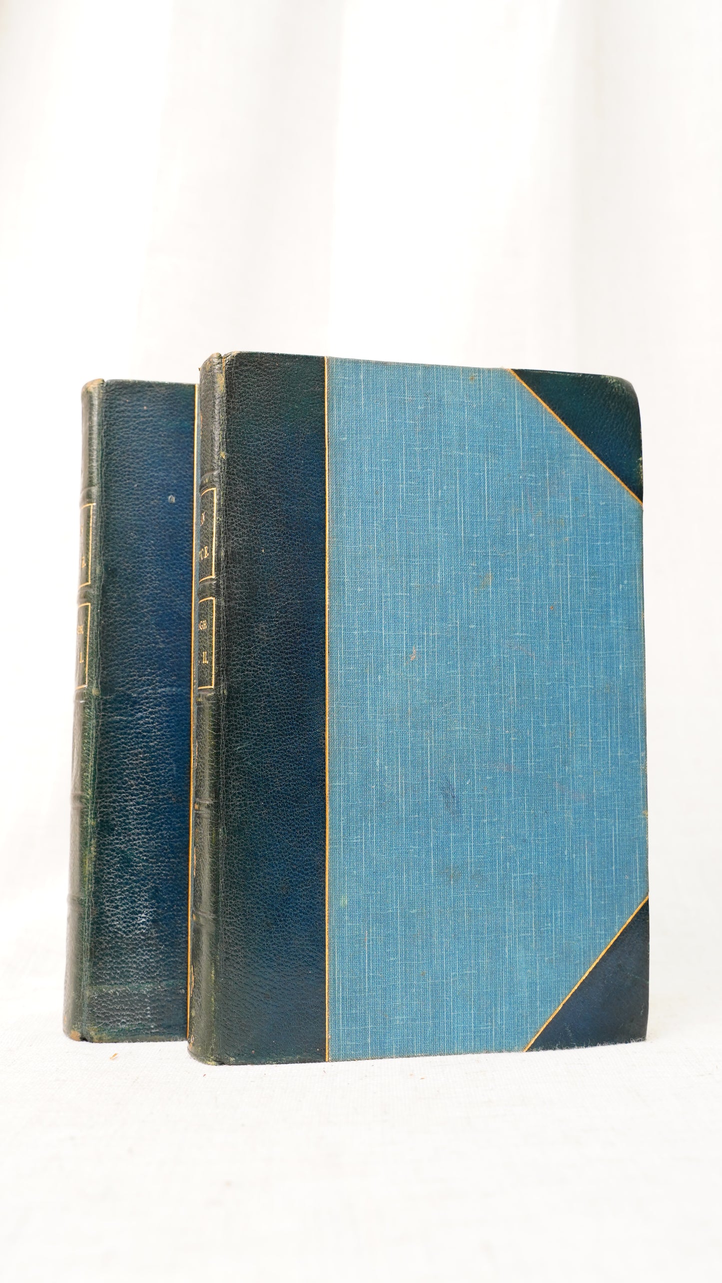 Julia Kavanagh Woman in France 1850 Antique Half-Leather Books Two Volumes