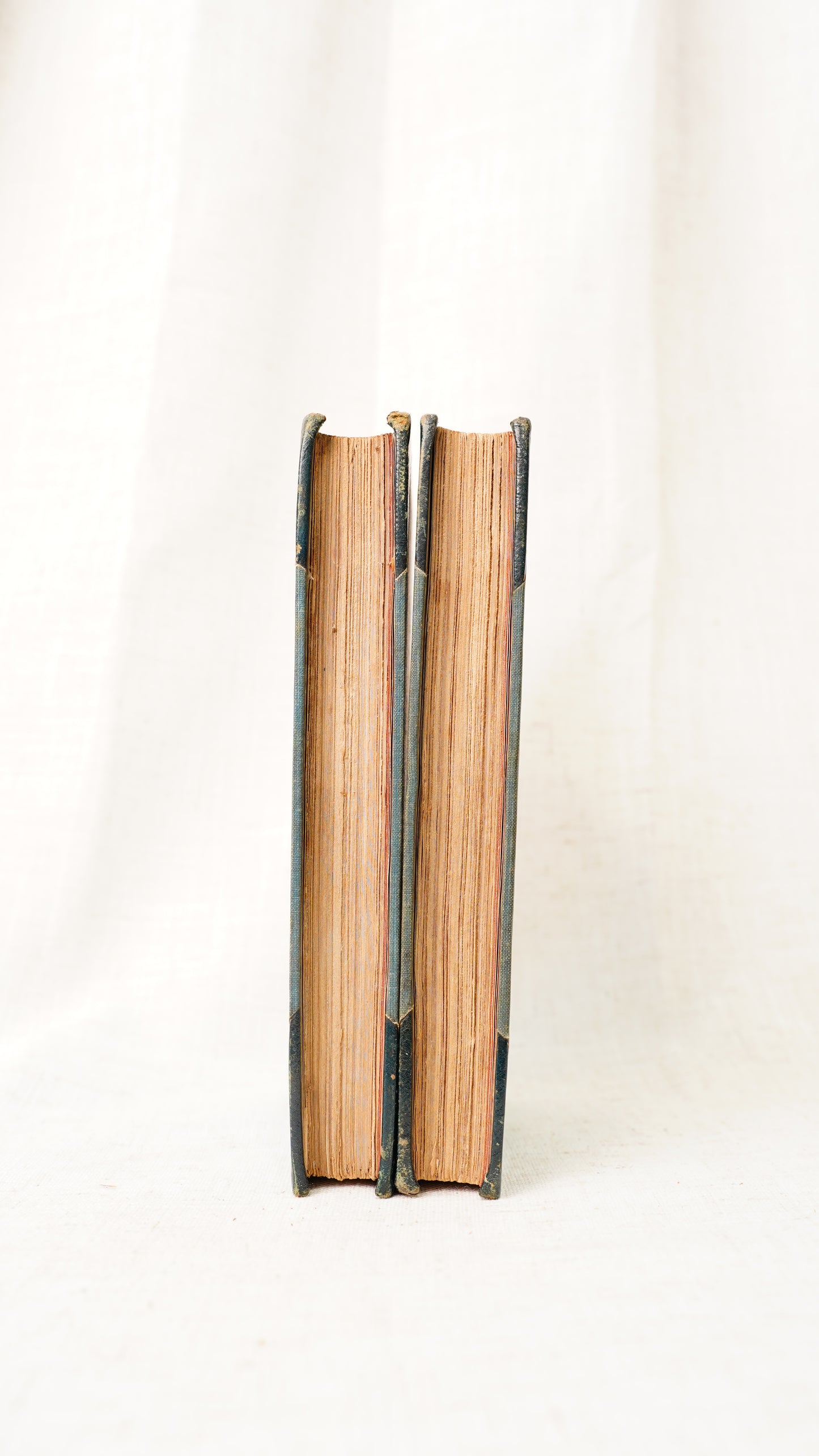 Julia Kavanagh Woman in France 1850 Antique Half-Leather Books Two Volumes