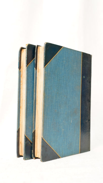 Julia Kavanagh Woman in France 1850 Antique Half-Leather Books Two Volumes