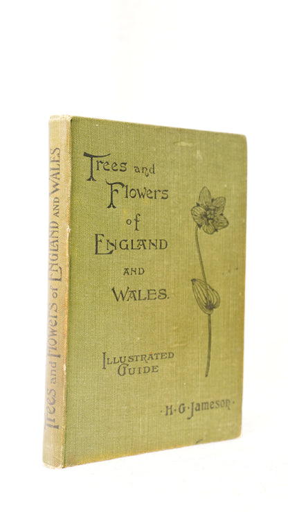 Antique H.G. Jameson Trees and Flowers of England and Wales 1909 Illustrated Guide