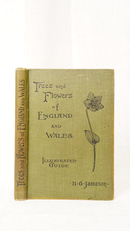 Antique H.G. Jameson Trees and Flowers of England and Wales 1909 Illustrated Guide
