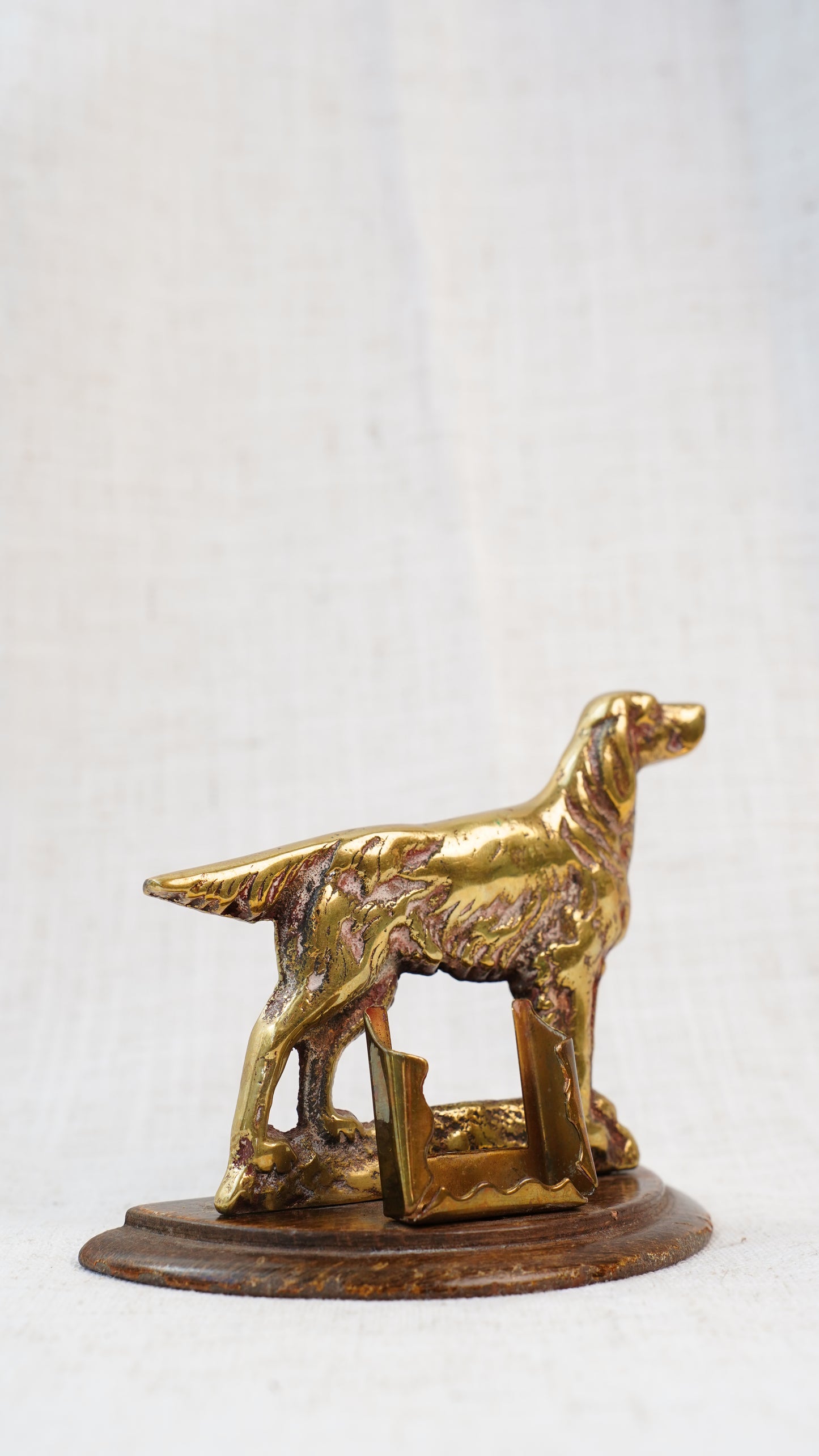 Antique English Brass Setter Dog Figure on Wood Plinth