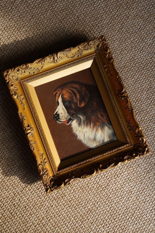 Antique Signed St. Bernard Dog Portrait Oil Painting
