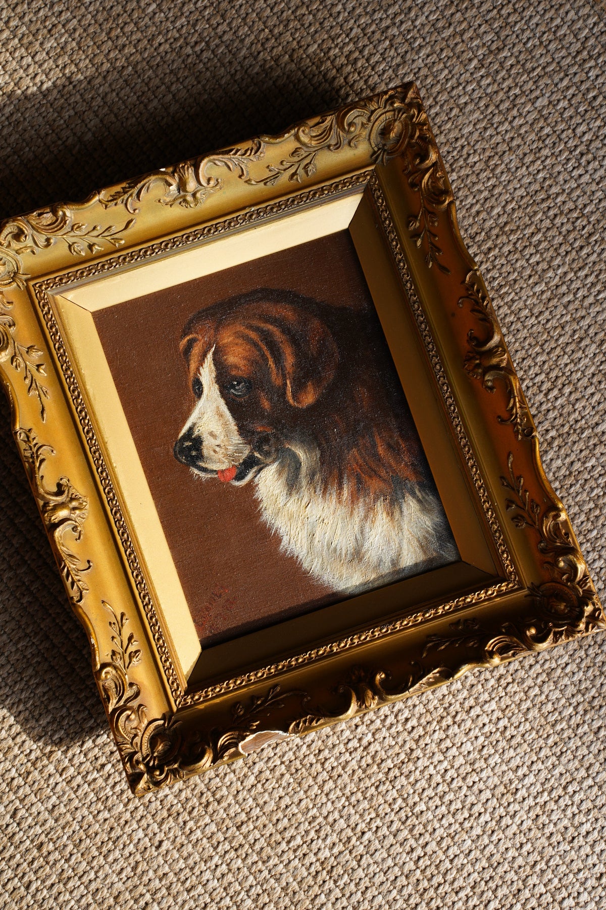 Antique Signed St. Bernard Dog Portrait Oil Painting