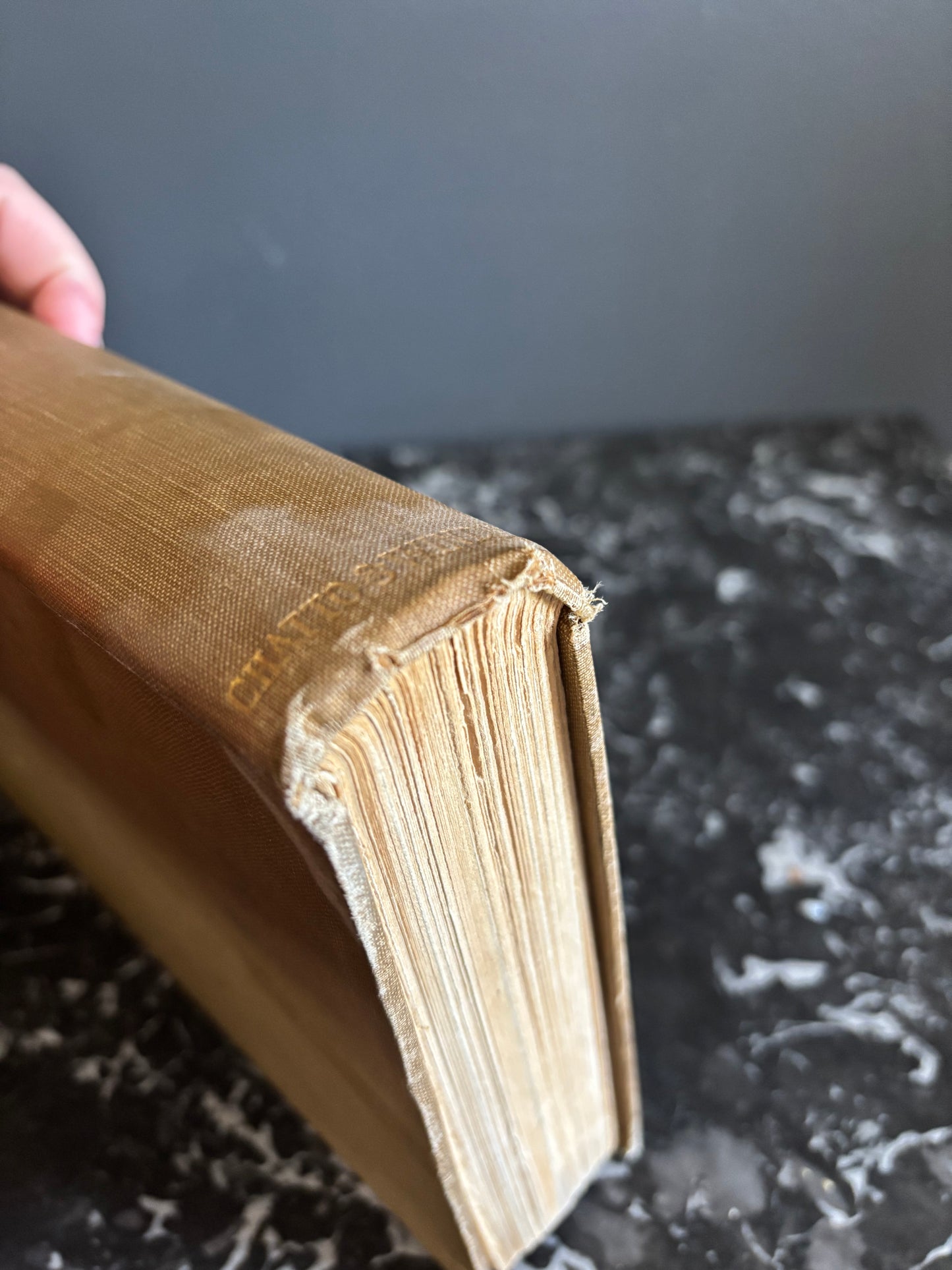 The Colour of London Book, 1914 Illustrated London History and City Guide