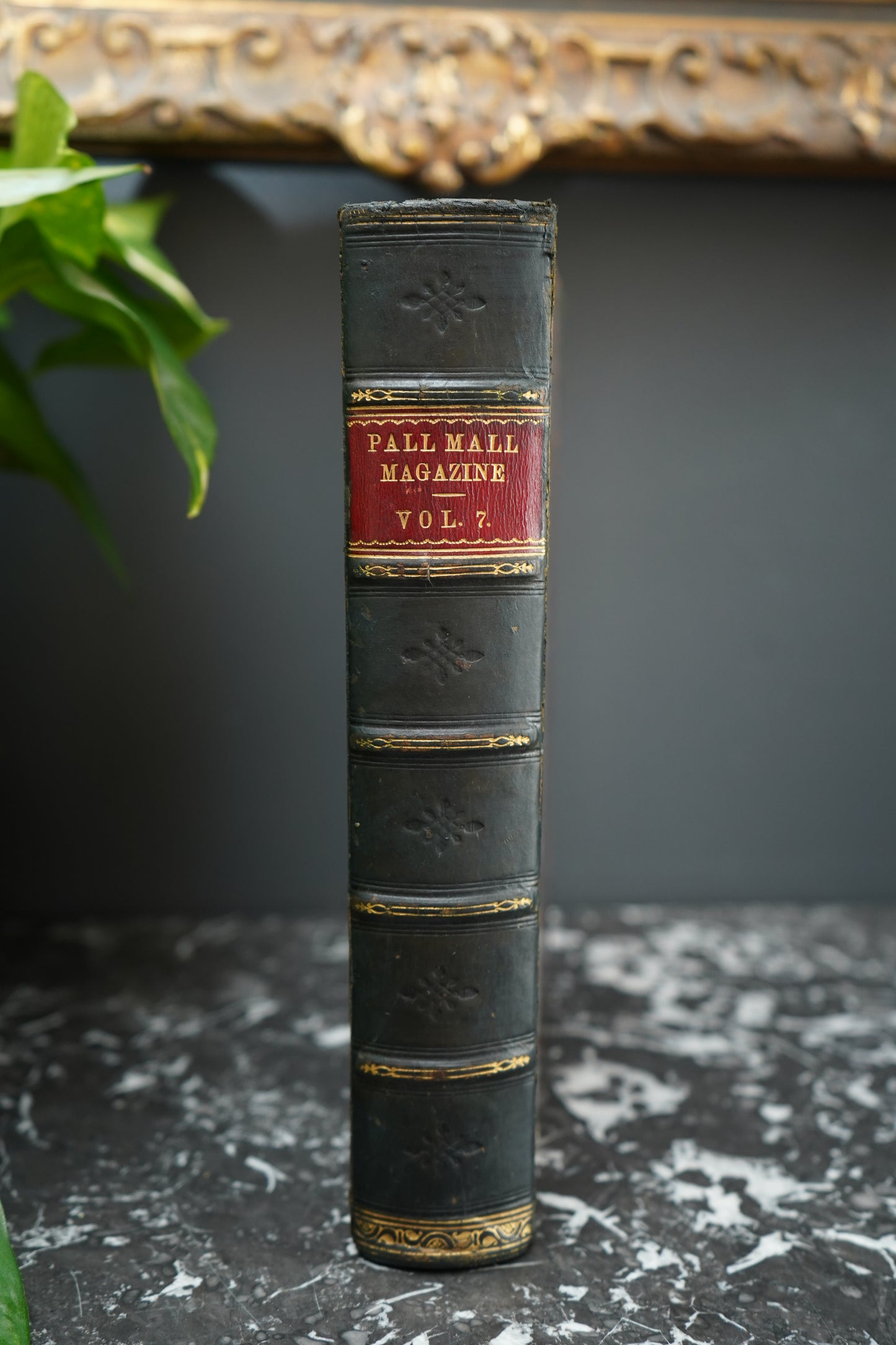 1895–1896 The Pall Mall Magazine Volumes VII & IX | Victorian Literature & Illustrated Periodicals in Fine Leather Binding
