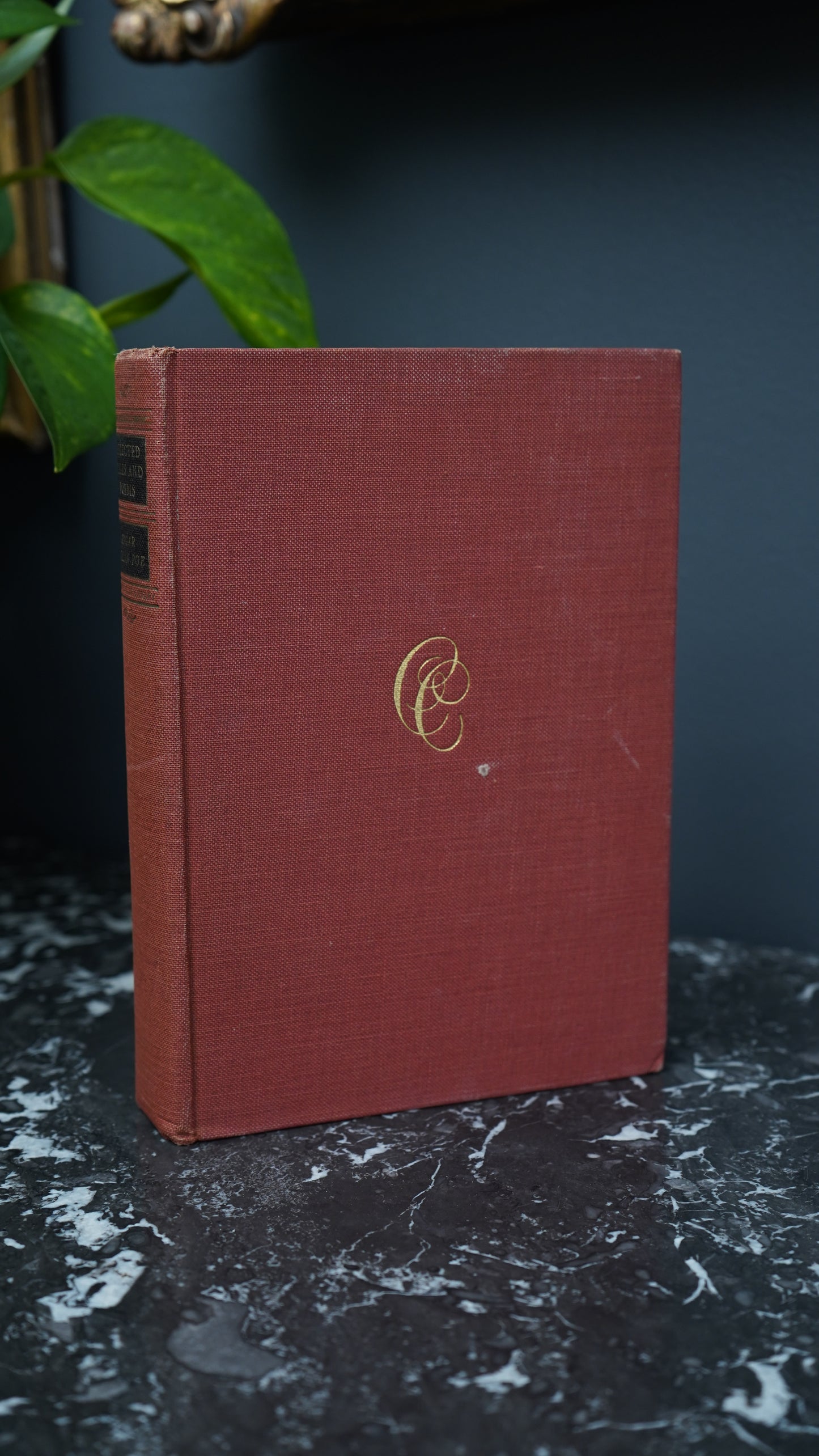 "Selected Tales and Poems by Edgar Allan Poe" Victorian Cloth Book