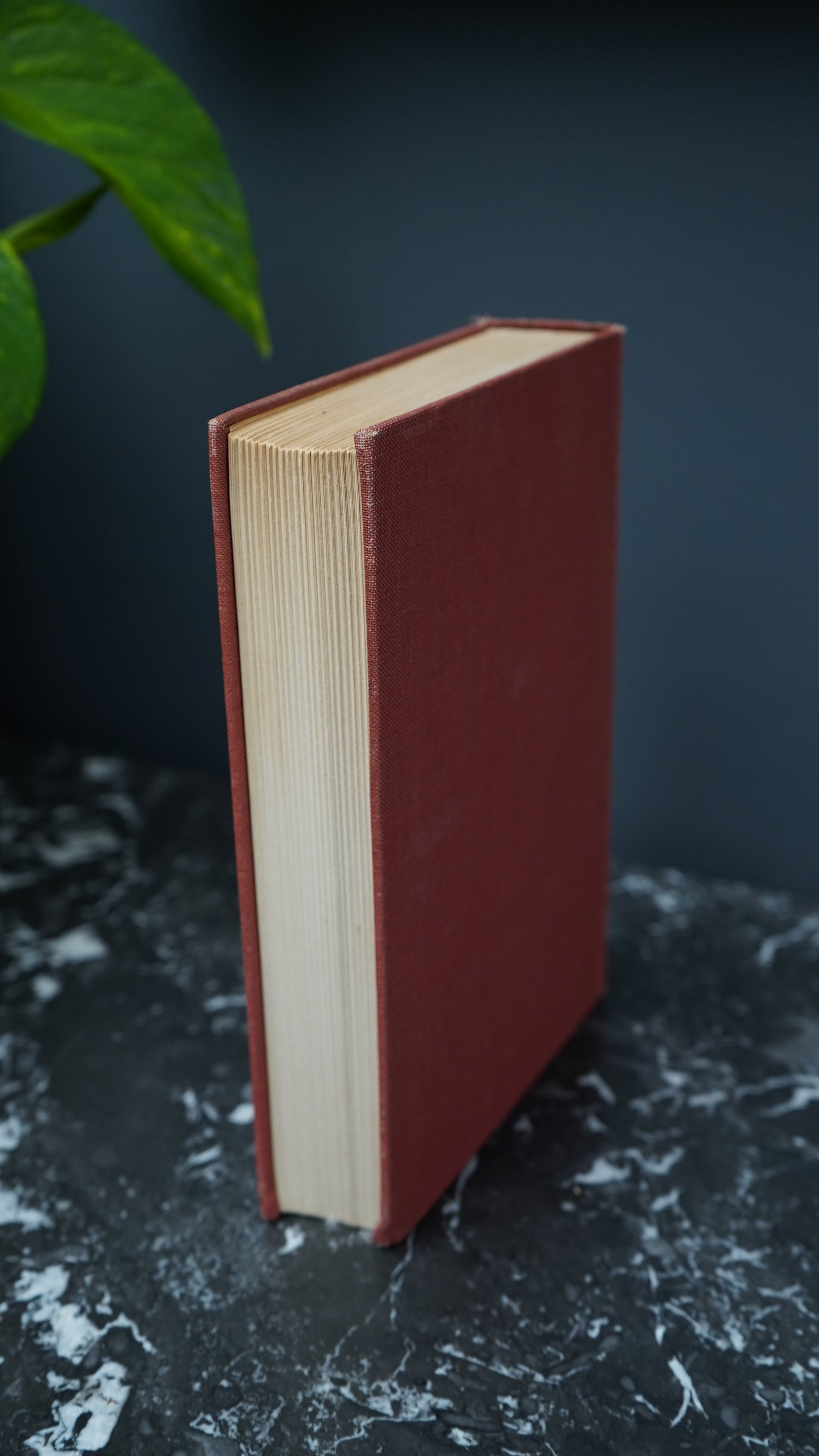 "Selected Tales and Poems by Edgar Allan Poe" Victorian Cloth Book