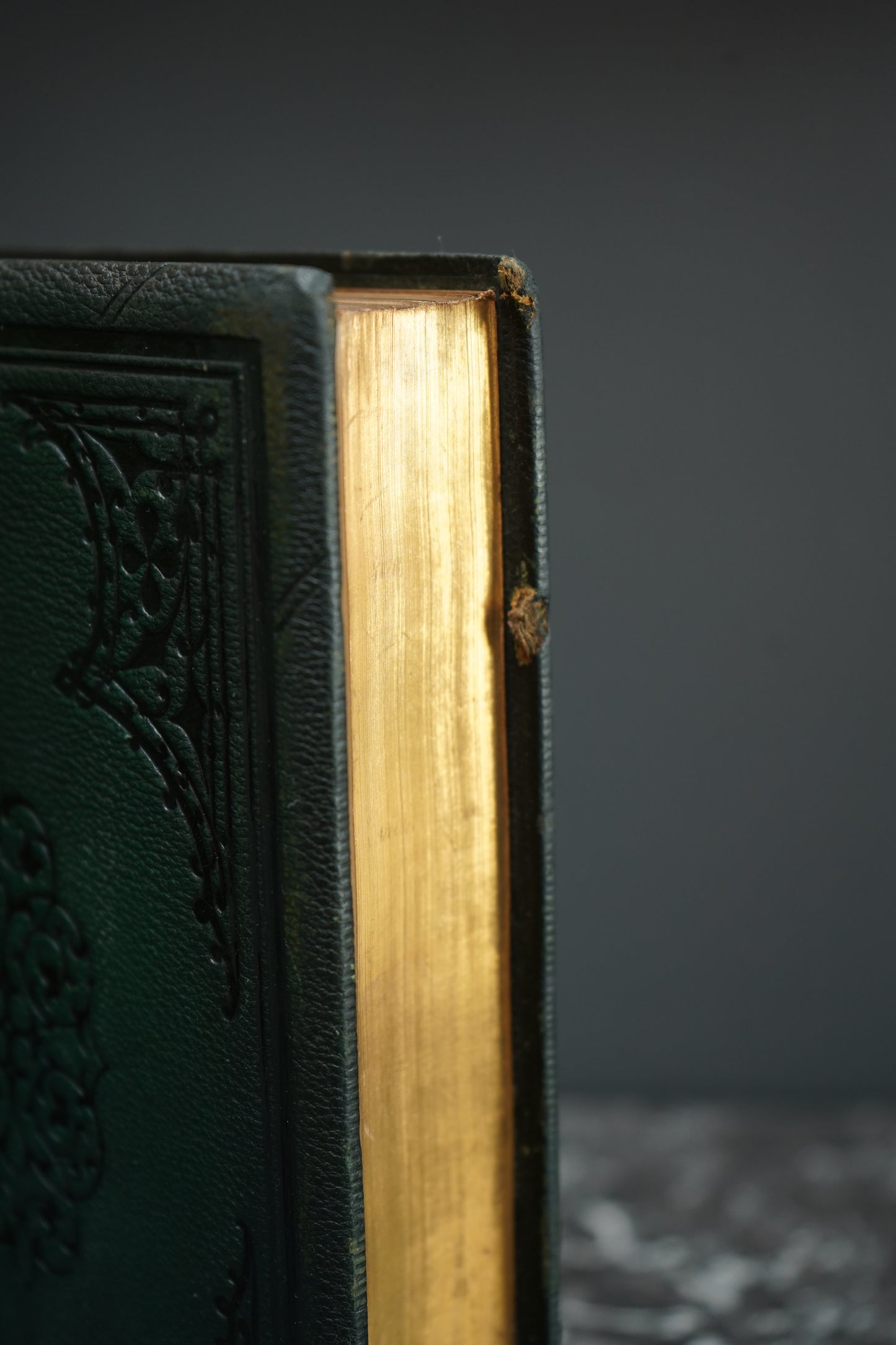 1804 "Marmion" Embossed Green Full Leather Book